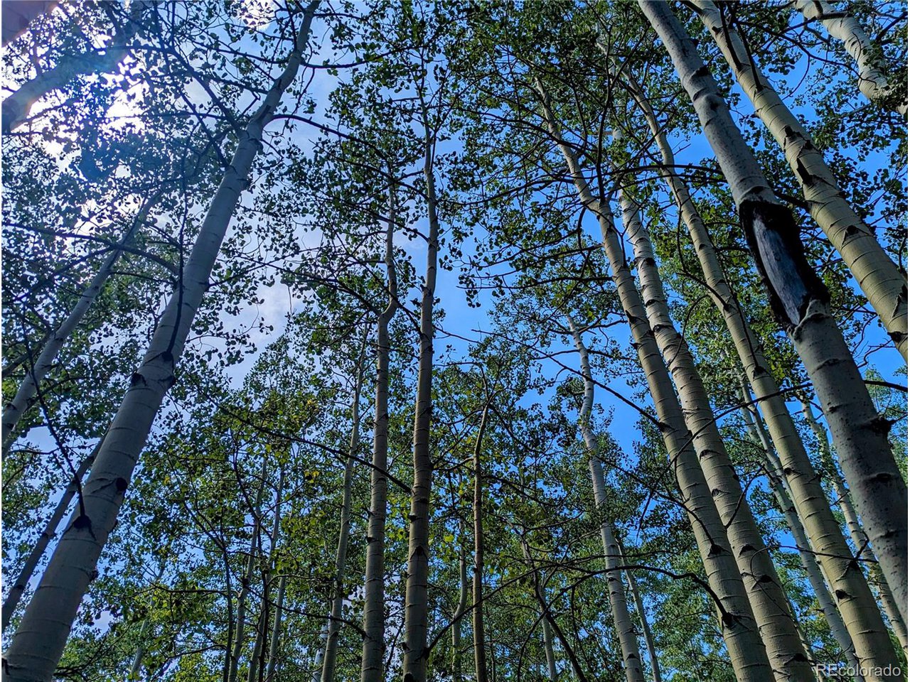 5387 Adams Road Fort Garland, CO 81133 - Photo 19 of 25