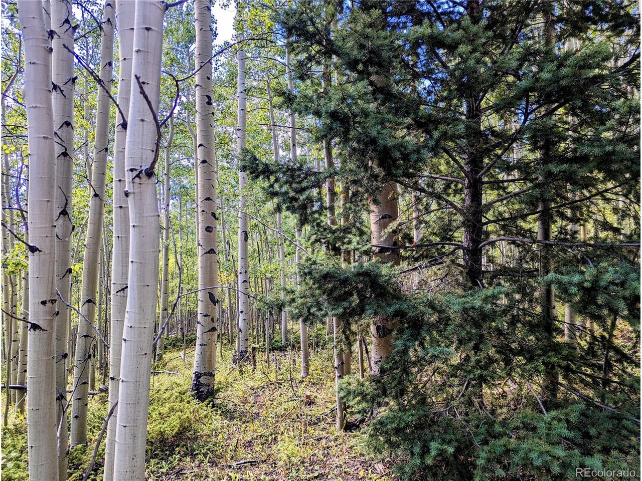 5387 Adams Road Fort Garland, CO 81133 - Photo 20 of 25