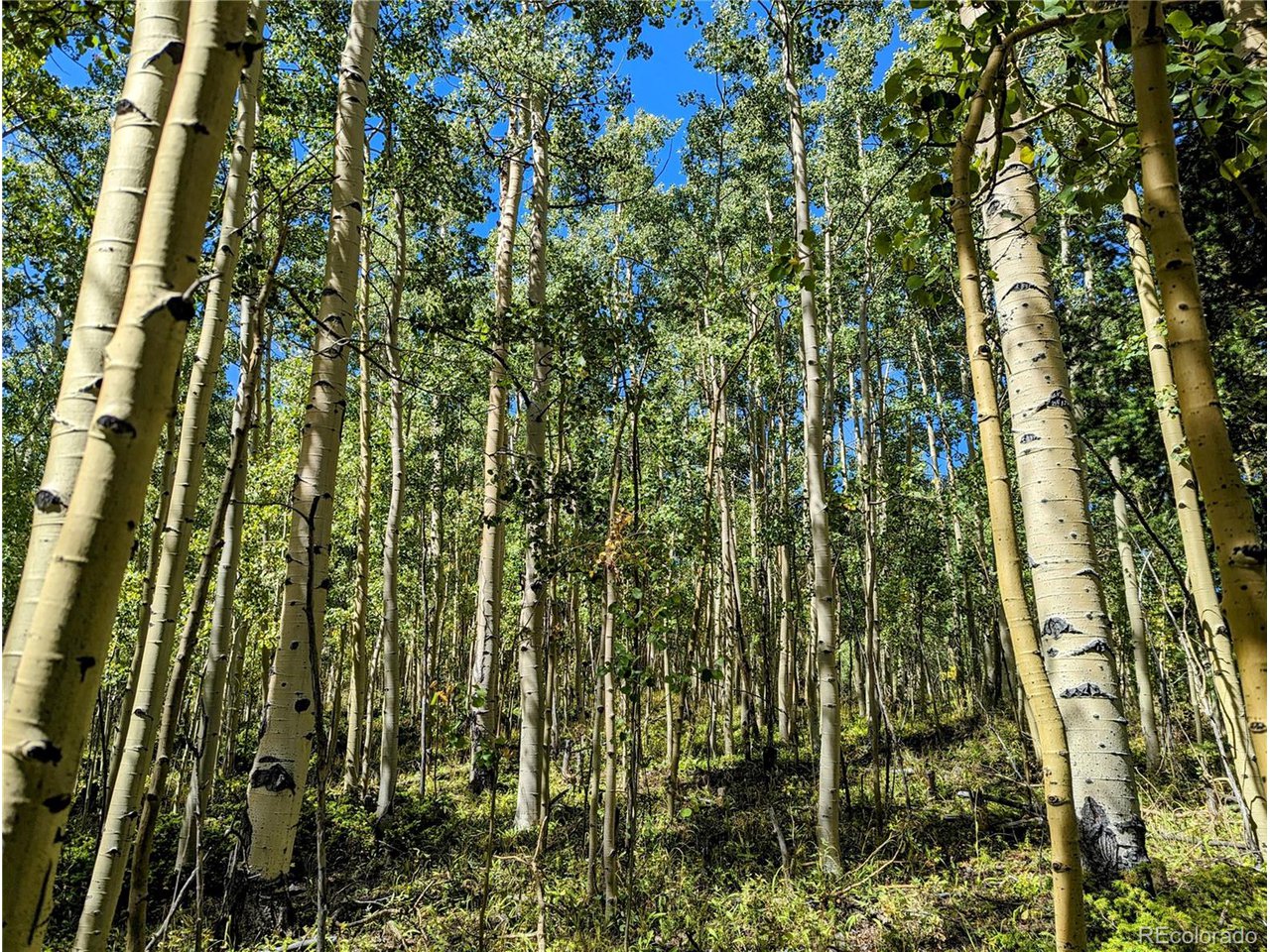 5387 Adams Road Fort Garland, CO 81133 - Photo 2 of 25