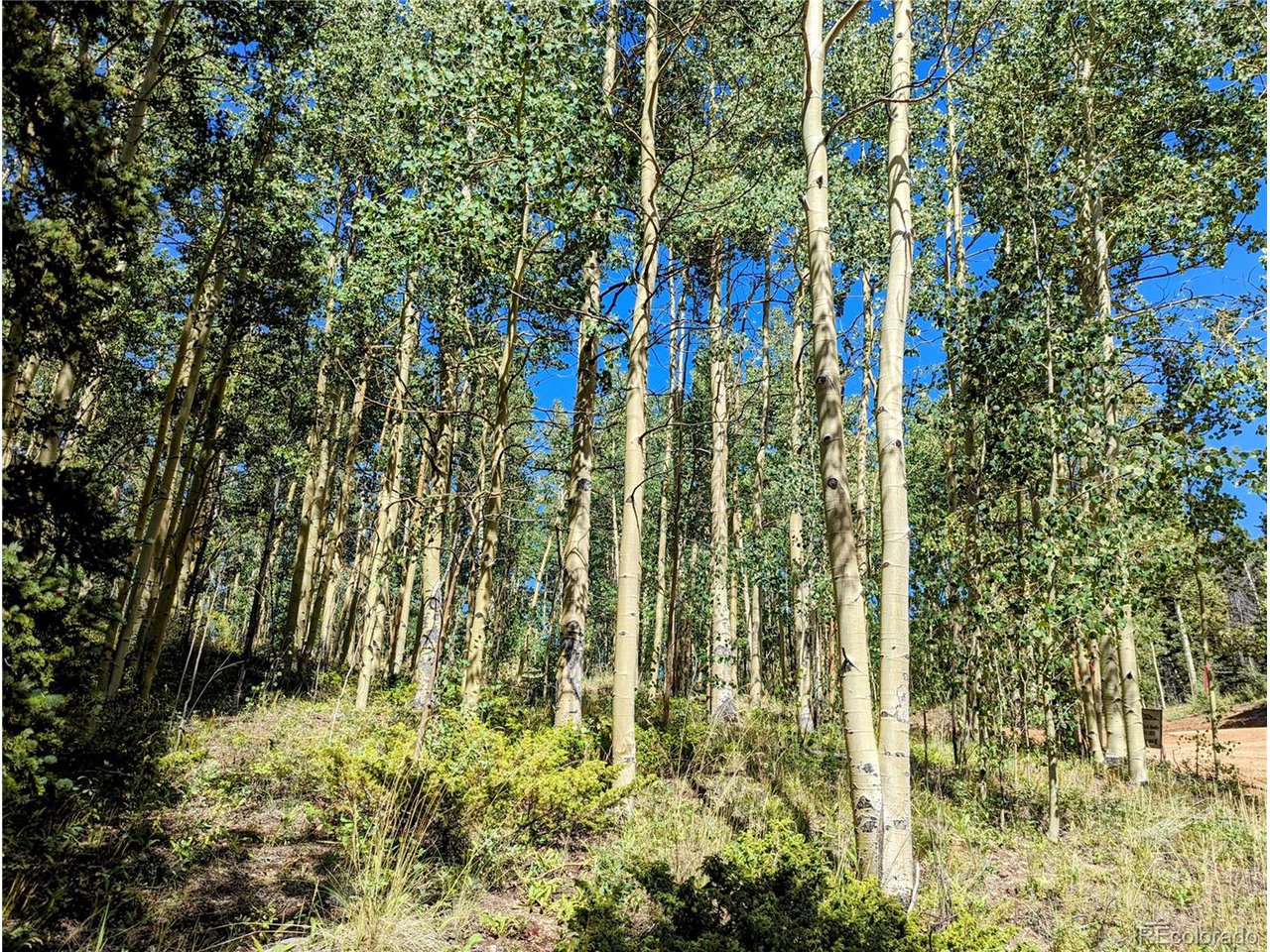 5387 Adams Road Fort Garland, CO 81133 - Photo 3 of 25