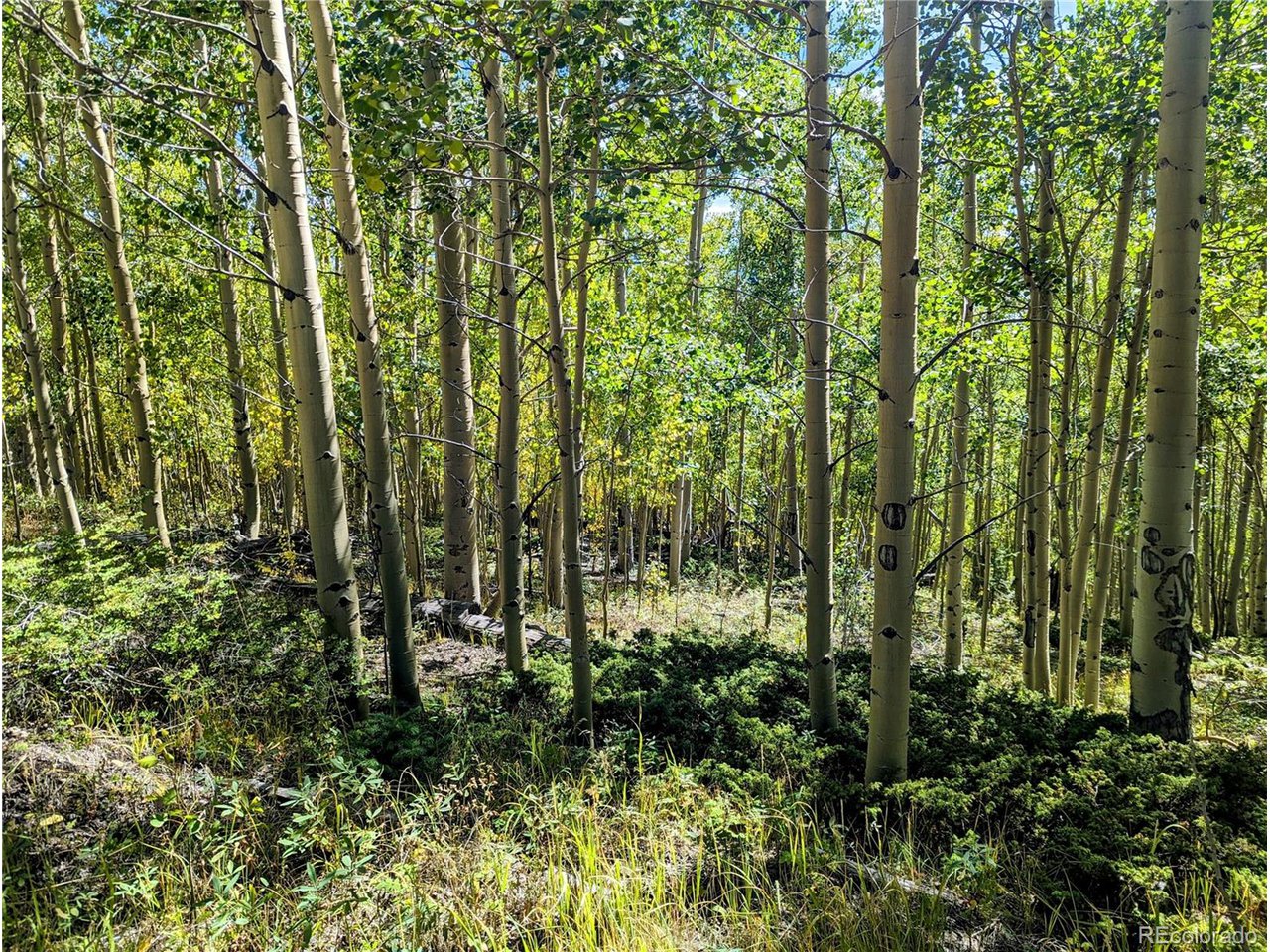 5387 Adams Road Fort Garland, CO 81133 - Photo 5 of 25