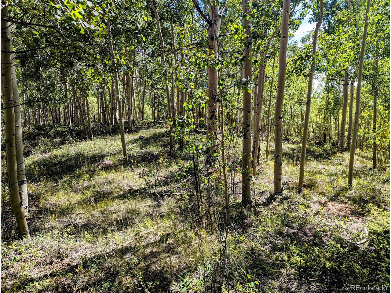 5387 Adams Road Fort Garland, CO 81133 - Photo 6 of 25