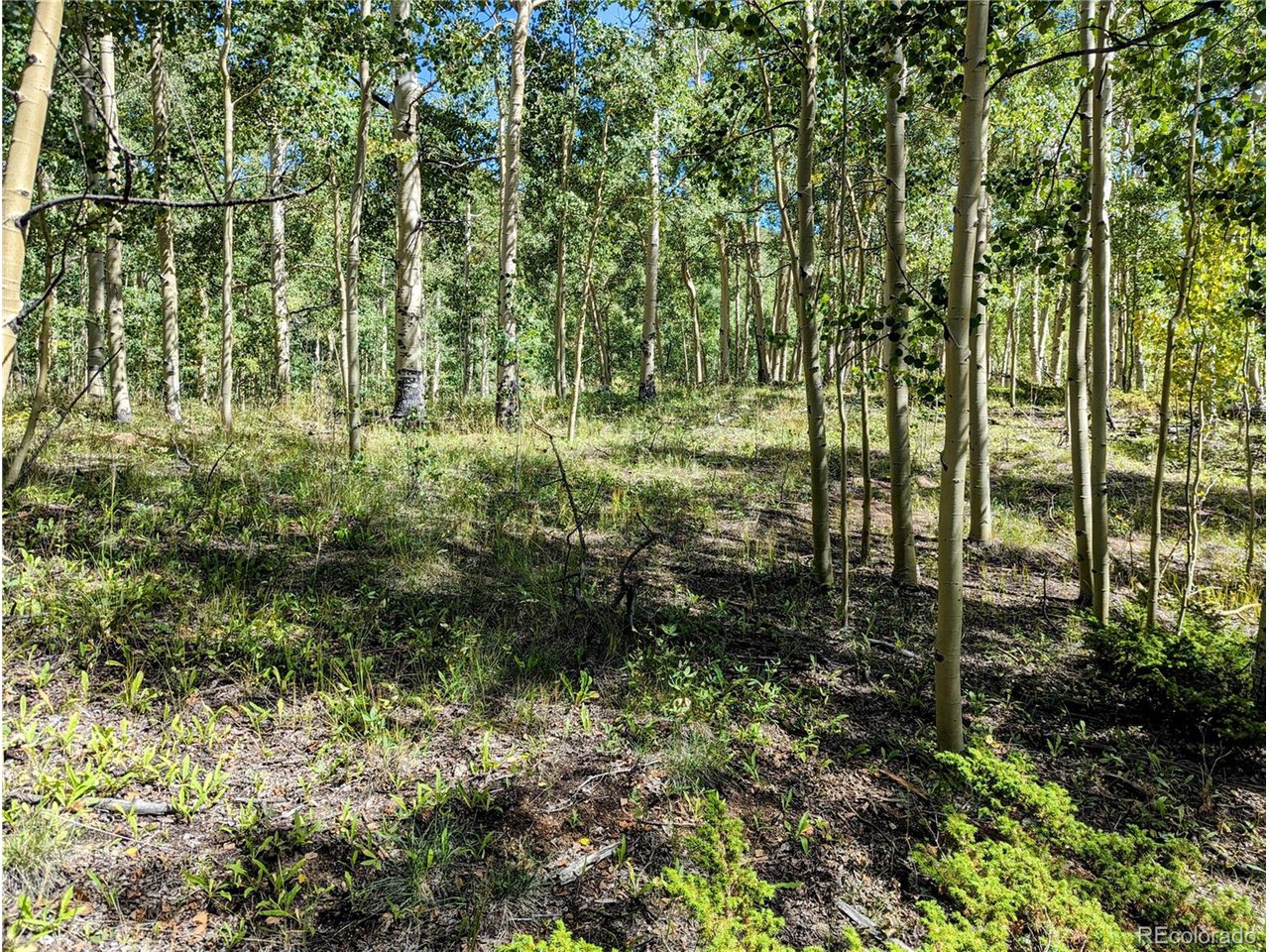 5387 Adams Road Fort Garland, CO 81133 - Photo 7 of 25