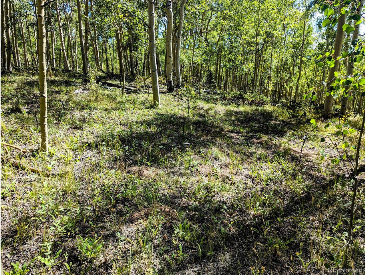 5387 Adams Road Fort Garland, CO 81133 - Photo 8 of 25