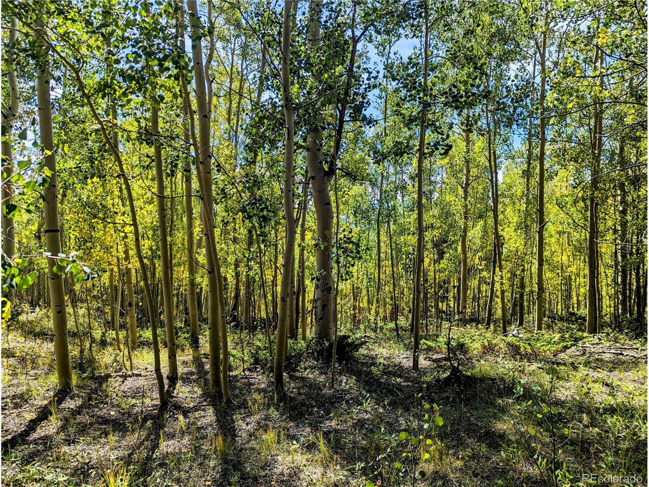 5387 Adams Road Fort Garland, CO 81133 - Photo 9 of 25
