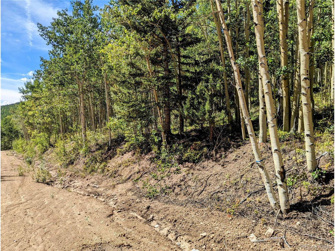 5387 Adams Road Fort Garland, CO 81133 - Photo 10 of 25