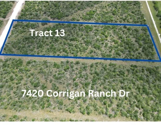 $50,000 | Undisclosed Address, Skidmore, TX 78389