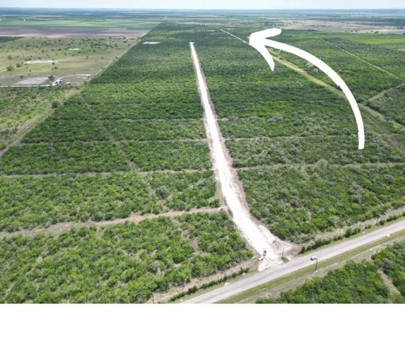 $50,000 | Undisclosed Address, Skidmore, TX 78389