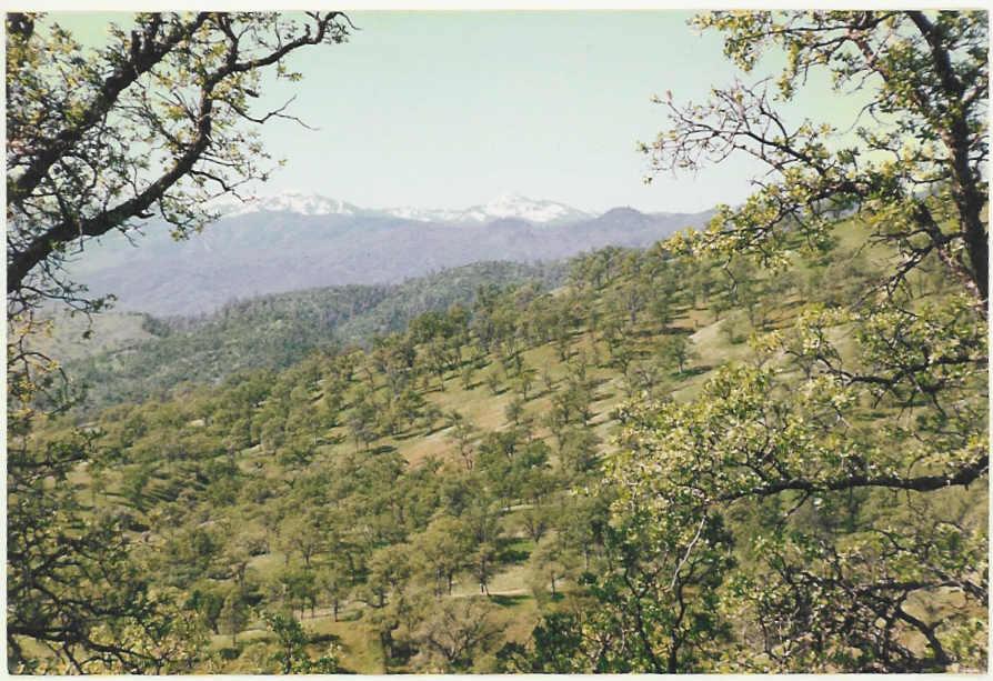 Yollo Bolly Road Igo, CA 96047 - Photo 1 of 5 a view of a dry yard with mountains in the background