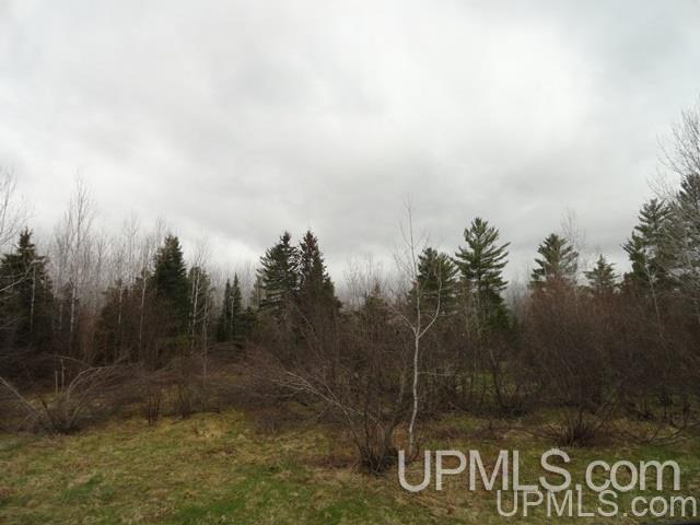 Tbd Choate Road Bruce Crossing, MI 49912 - Photo 2 of 11 Gallery Image 2