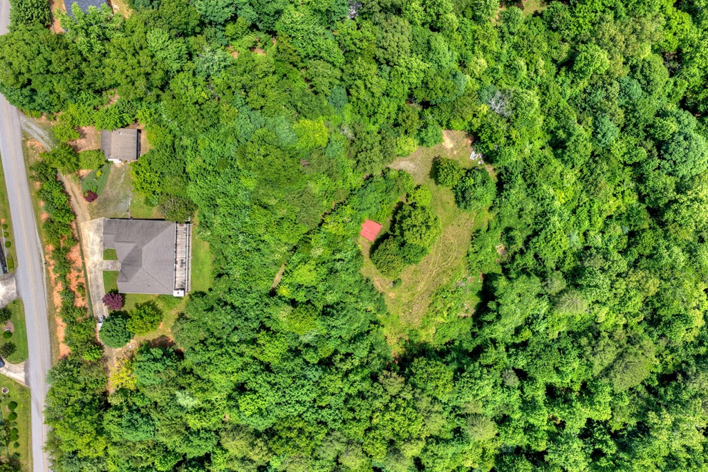 1207 Bullen Gap Road Blue Ridge, GA 30513 - Photo 56 of 61