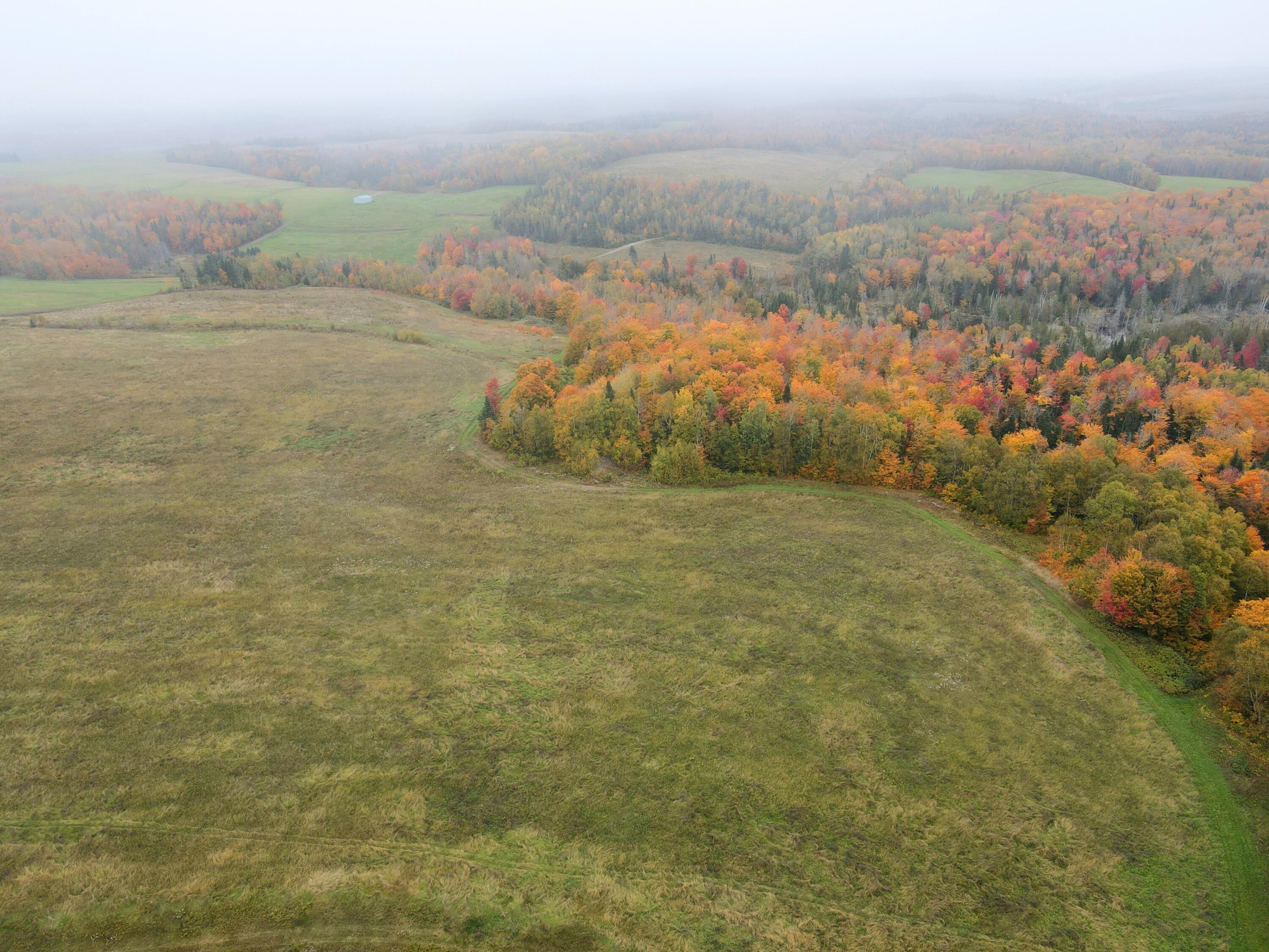 Lot 38 Coulombe Road Fort Kent, ME 04743 - Photo 7 of 30 dji_fly_20231004_122326_103_169644276078