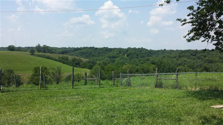 701 Humes Ridge Road Williamstown, KY 41097 - Photo 2 of 26 Gallery Image 2