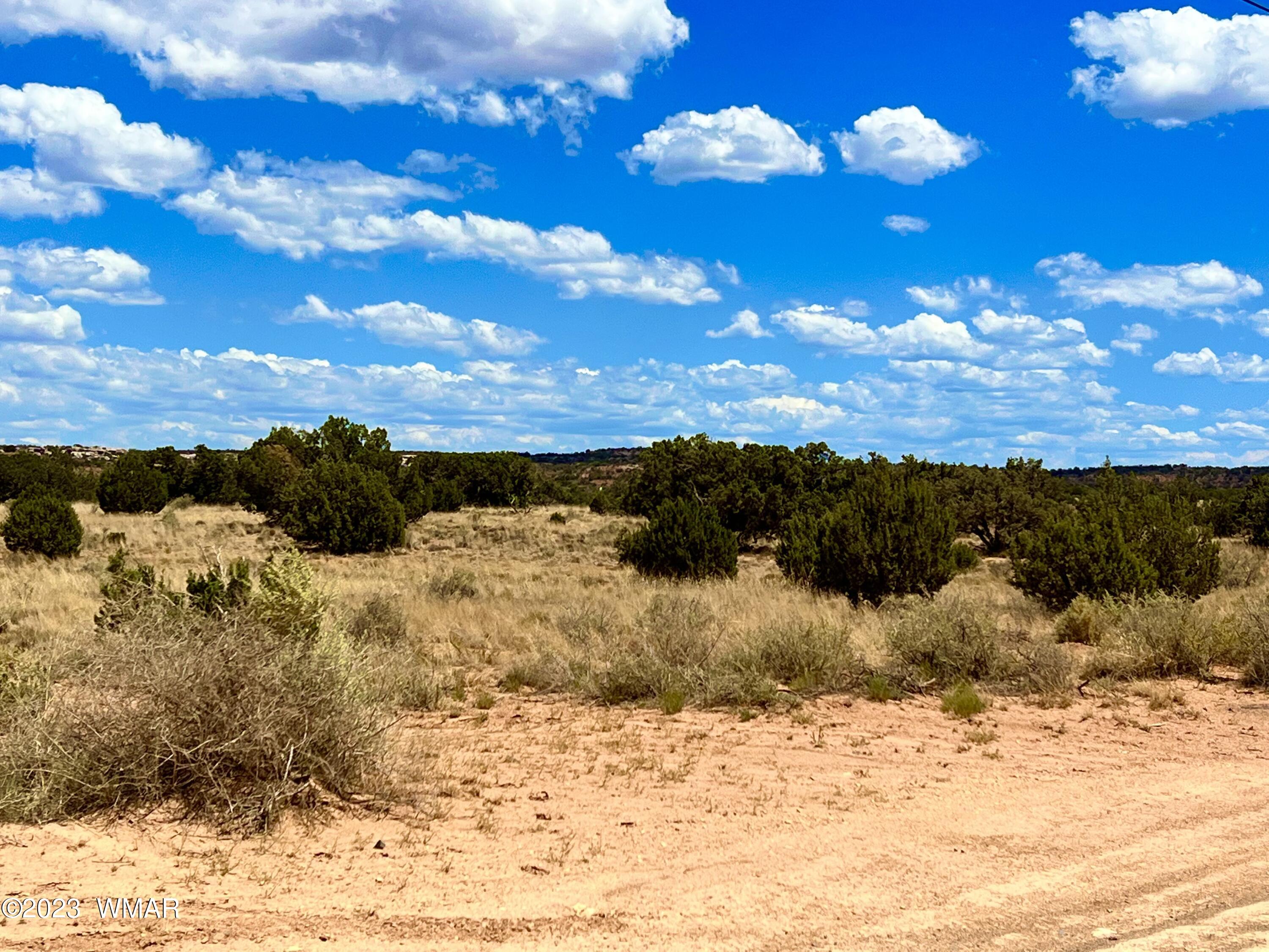 3831 Clyde Road Snowflake, AZ 85937 - Photo 3 of 16 a view of a yard