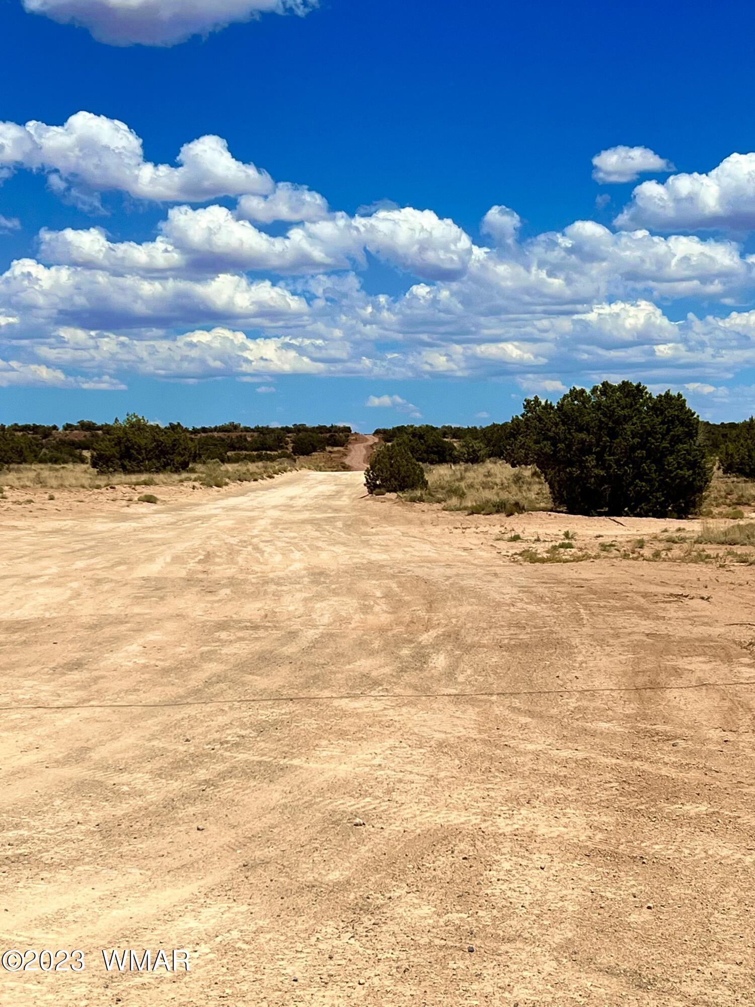 3831 Clyde Road Snowflake, AZ 85937 - Photo 9 of 16 a view of an ocean