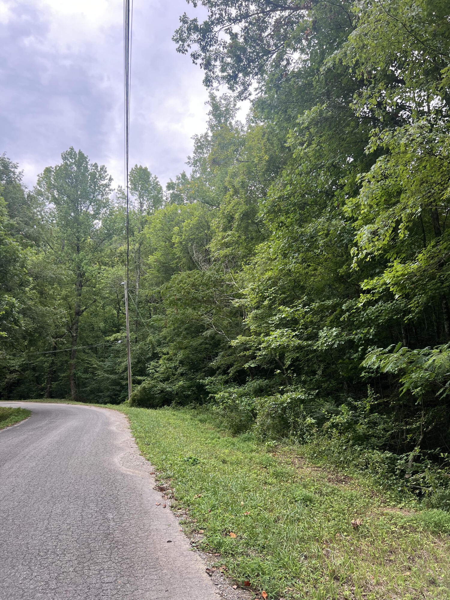 0 Hays Hollow Road Flintstone, GA 30725 - Photo 1 of 9 Gallery Image 1