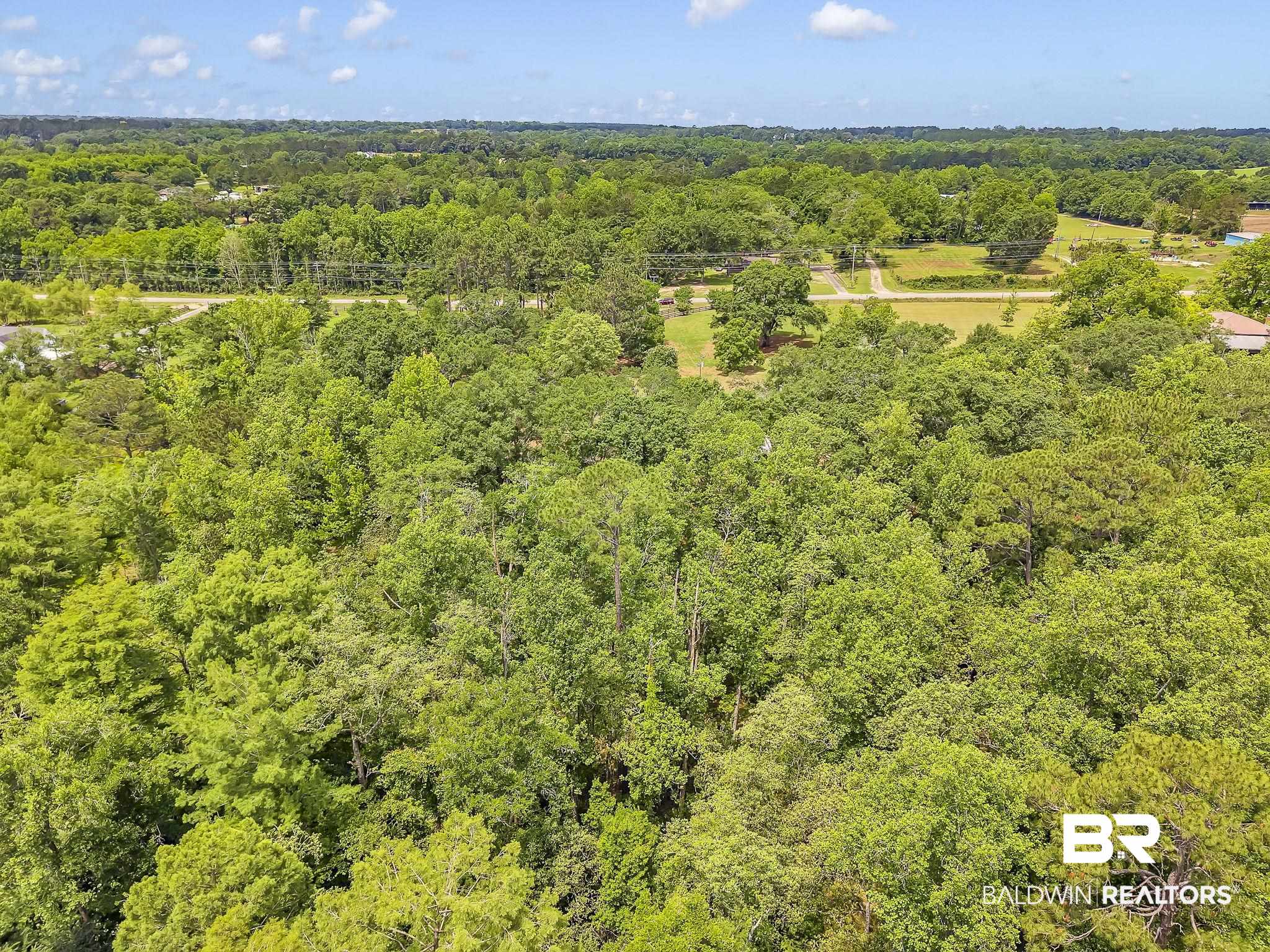 18626-1 Moore Road Andalusia, AL 36420 - Photo 14 of 17 Drone / aerial view of a heavily wooded area