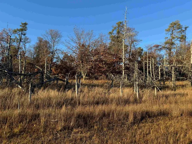 $149,900 | Lot 2 Sandy Shores Drive, Minong, WI 54859