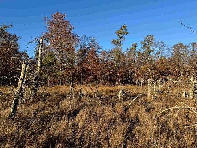 $149,900 | Lot 2 Sandy Shores Drive, Minong, WI 54859