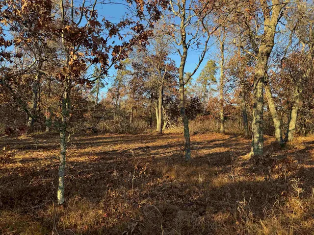 $149,900 | Lot 2 Sandy Shores Drive, Minong, WI 54859