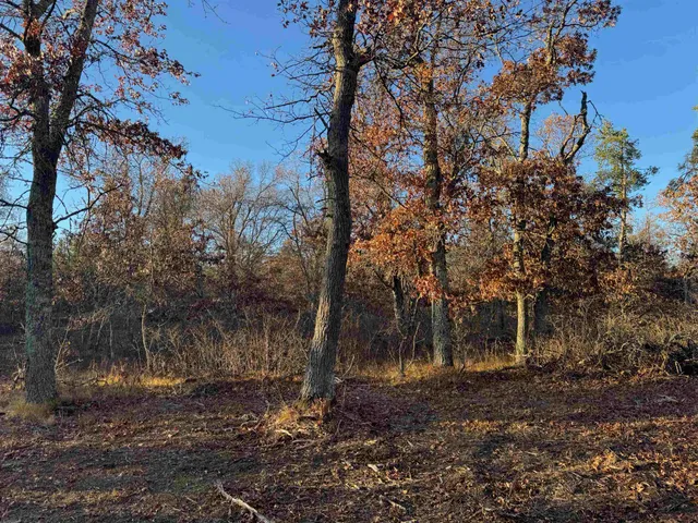 $149,900 | Lot 2 Sandy Shores Drive, Minong, WI 54859