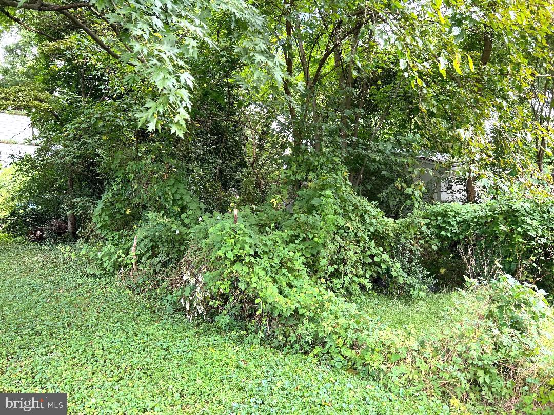 500 Denham Road Rockville, MD 20851 - Photo 4 of 4 Another view of the property