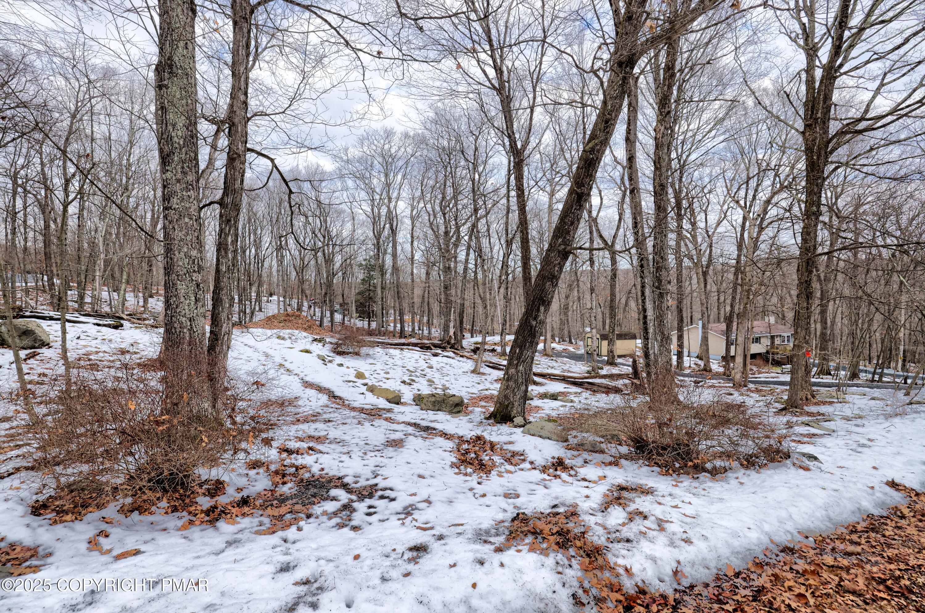 Lot 560 Sparrow Road Bushkill, PA 18324 - Photo 5 of 19 a backyard of a house with trees