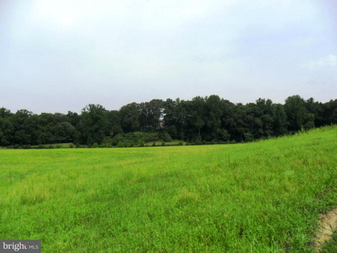 9685 Howes Road Dunkirk, MD 20754 - Photo 26 of 30 Open Pasture 2