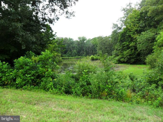 9685 Howes Road Dunkirk, MD 20754 - Photo 27 of 30 Pond