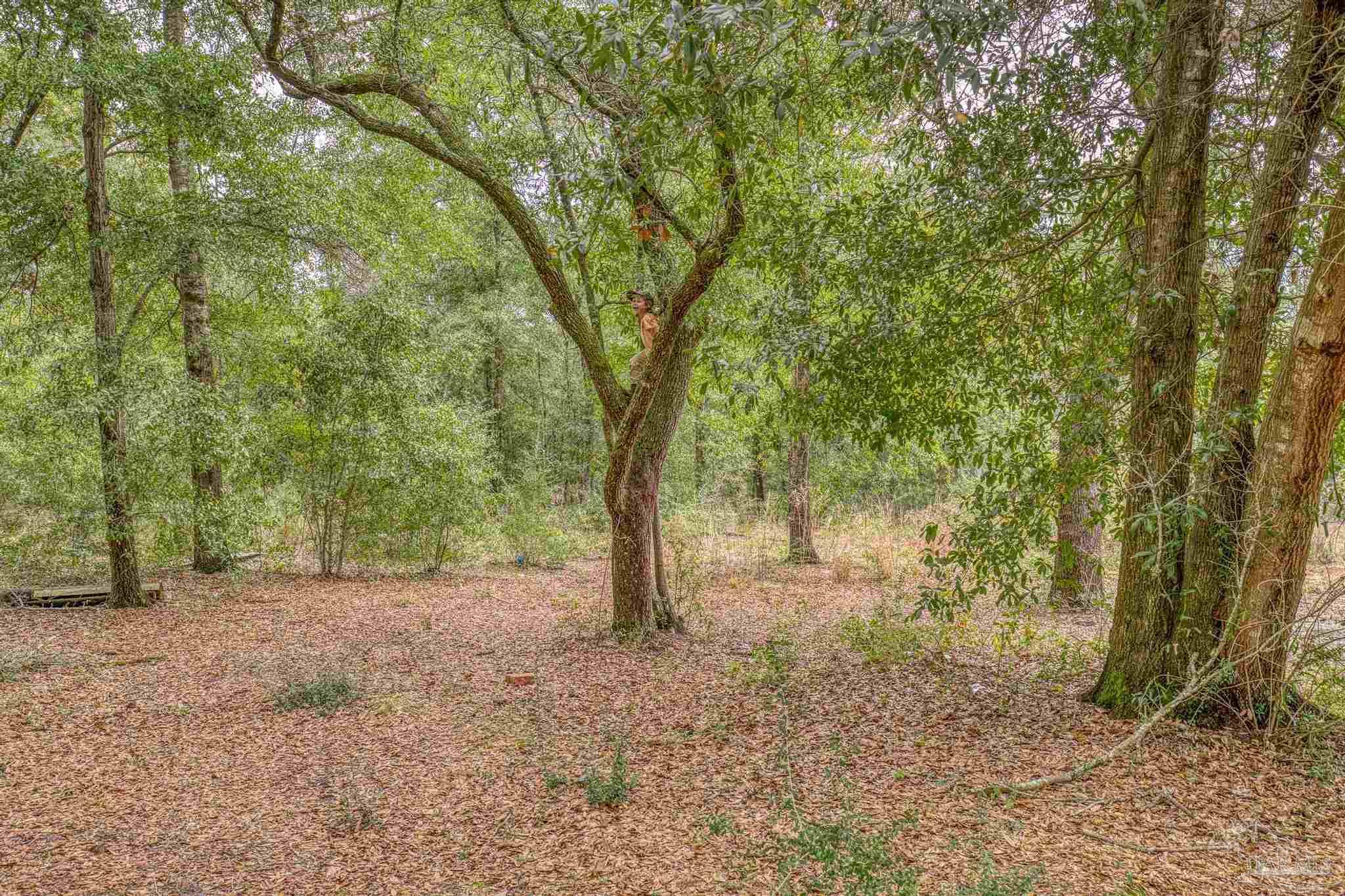 10246 Nichols Lake Road Milton, FL 32583 - Photo 29 of 39