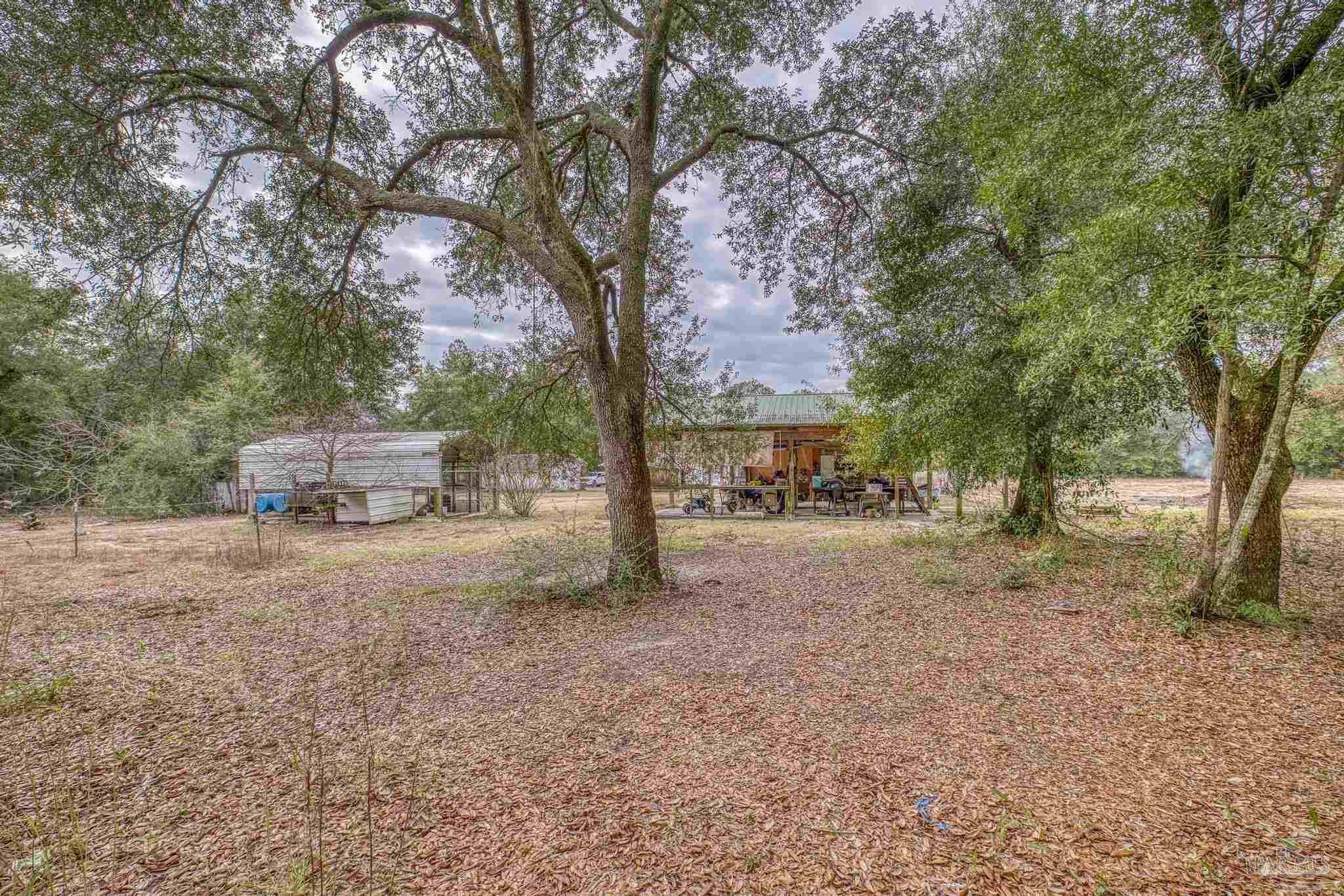 10246 Nichols Lake Road Milton, FL 32583 - Photo 30 of 43 a view of a trees and yard with trees