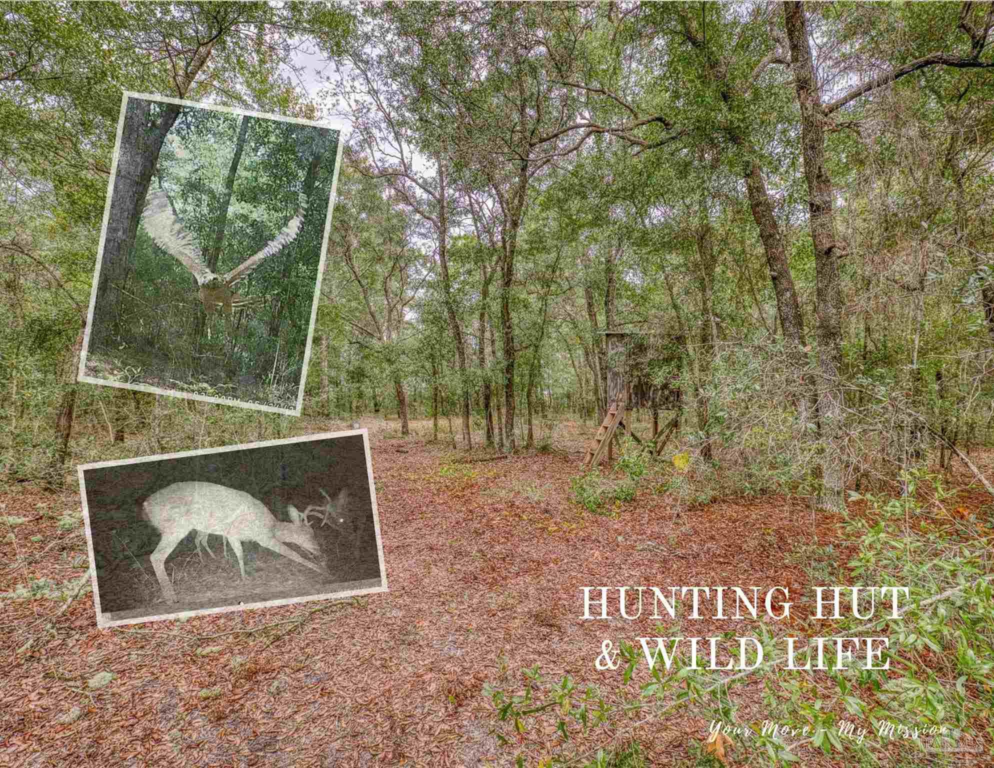 10246 Nichols Lake Road Milton, FL 32583 - Photo 4 of 43 a view of outdoor space