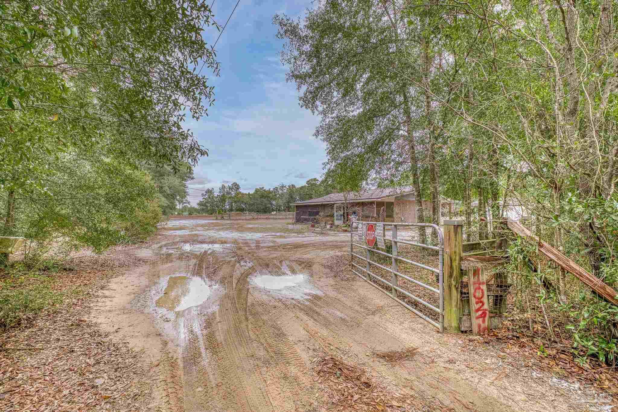 10246 Nichols Lake Road Milton, FL 32583 - Photo 9 of 39