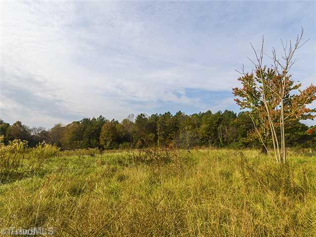 8642 Haw River Road Oak Ridge, NC 27310 - Photo 11 of 16 Land/Lot.