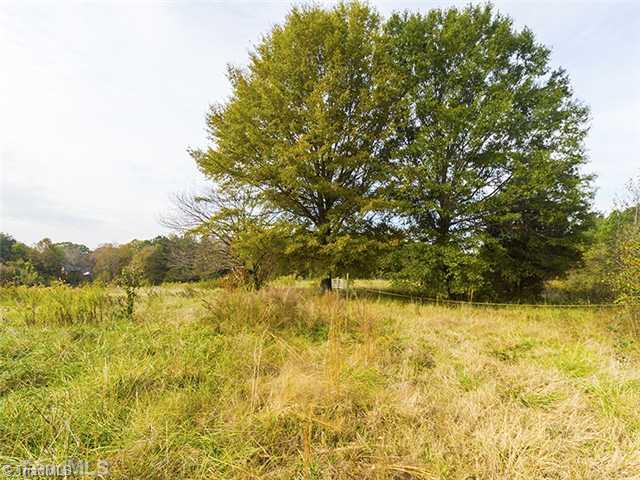 8642 Haw River Road Oak Ridge, NC 27310 - Photo 13 of 16 Land/Lot.