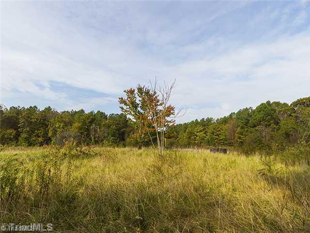 8642 Haw River Road Oak Ridge, NC 27310 - Photo 14 of 16 Land/Lot.