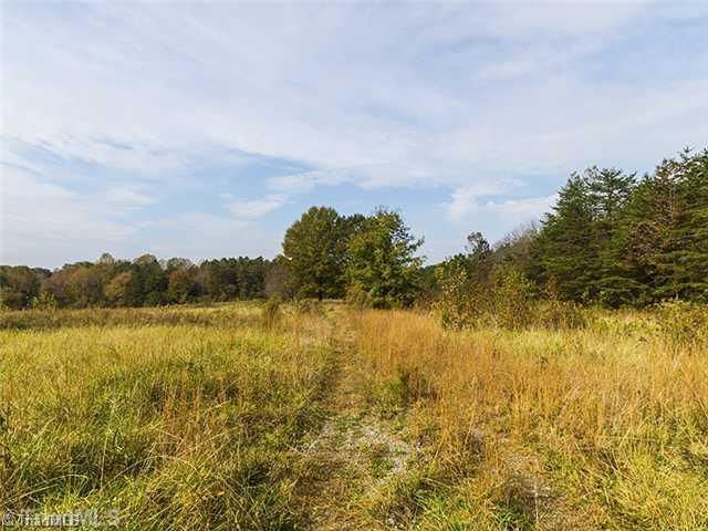 8642 Haw River Road Oak Ridge, NC 27310 - Photo 8 of 16 Land/Lot.