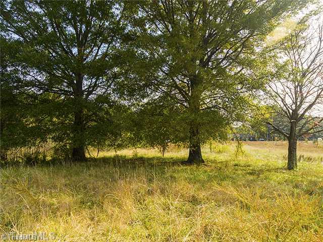 8642 Haw River Road Oak Ridge, NC 27310 - Photo 10 of 16 Land/Lot.