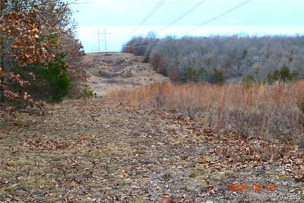 $2,562,300 | 0 Frankfort Drive, Conway, MO 65632