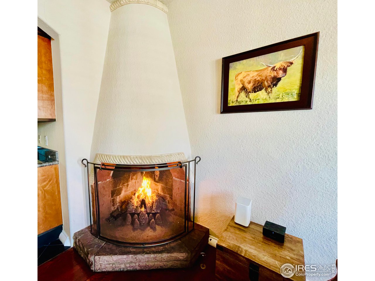 707 14th Street Boulder, CO 80302 - Photo 13 of 40 Kitchen pine cone "logs" gas fireplace