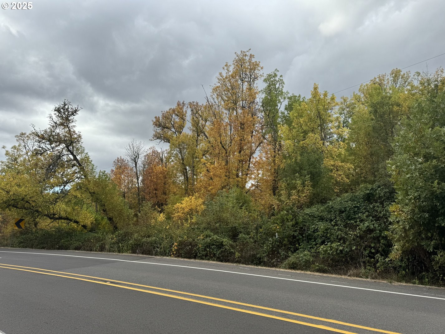 2191 Lorane Highway Eugene, OR 97405 - Photo 3 of 7