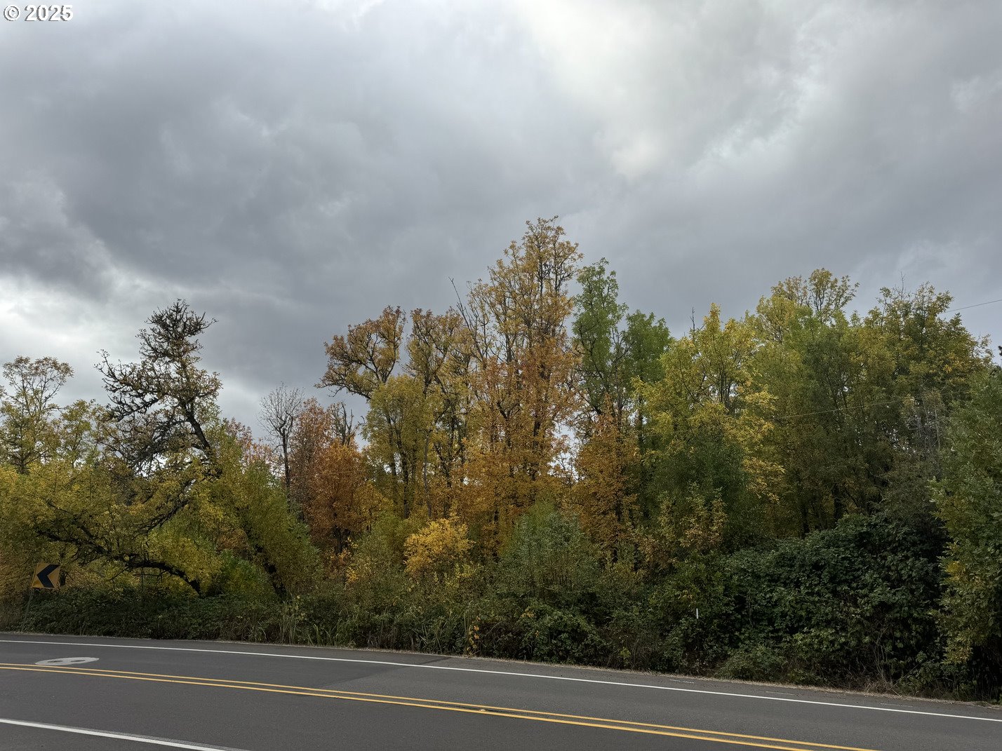2191 Lorane Highway Eugene, OR 97405 - Photo 5 of 7