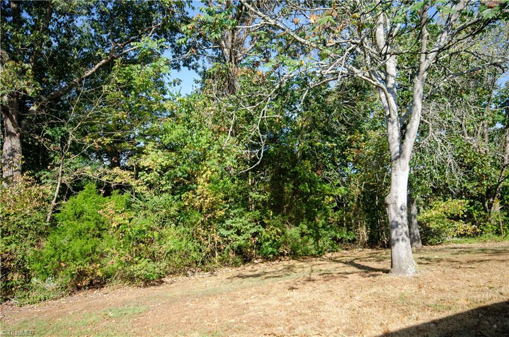 311 Hamilton Road Lexington, NC 27295 - Photo 27 of 27 Gallery Image 27