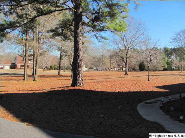 568 Cross Creek Lane Alpine, AL 35014 - Photo 2 of 31