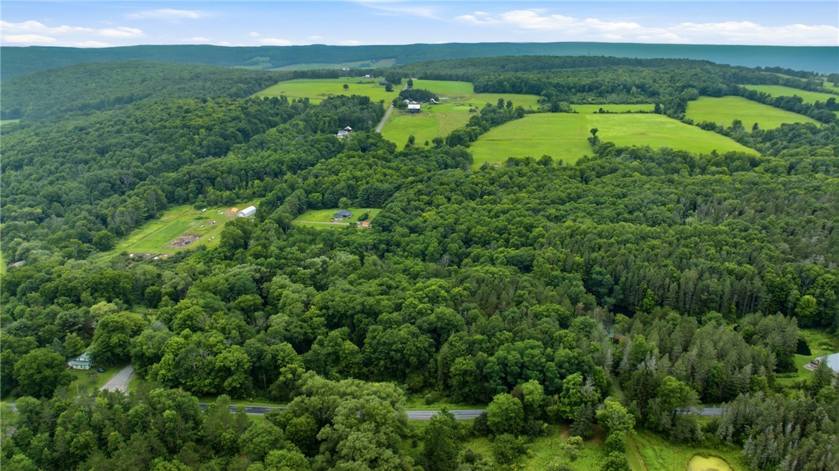 7843 Williams Road Prattsburgh, NY 14873 - Photo 29 of 35 Gallery Image 29