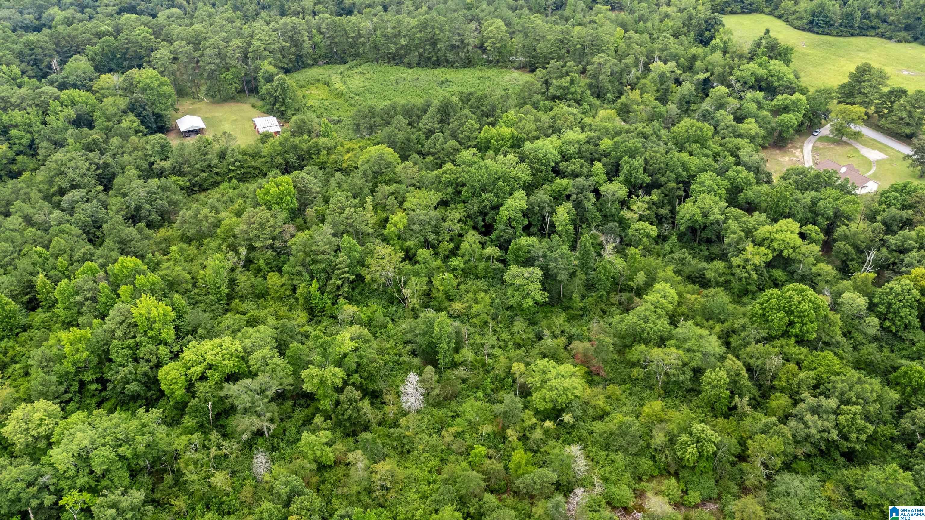 700 High Rock Road Hayden, AL 35079 - Photo 67 of 76