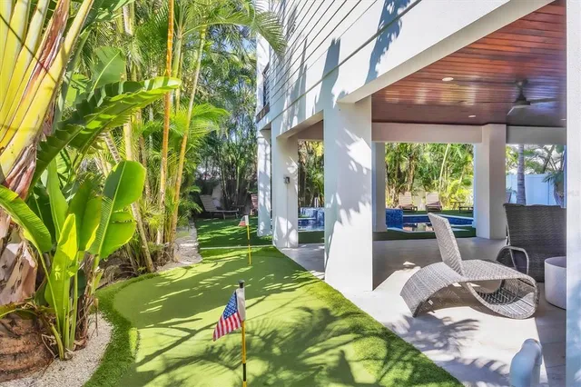 a view of a yard with plants