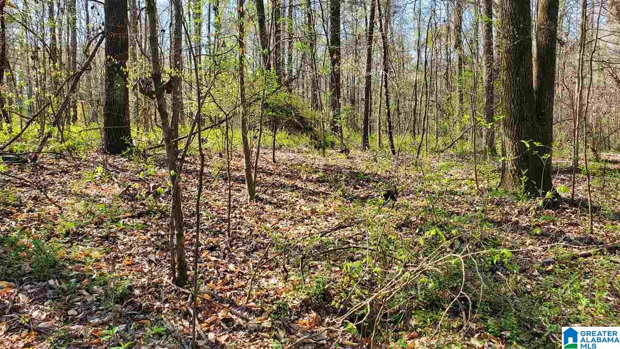 4356 Richeytown Road, Unit 1 Oxford, AL 36203 - Photo 6 of 10