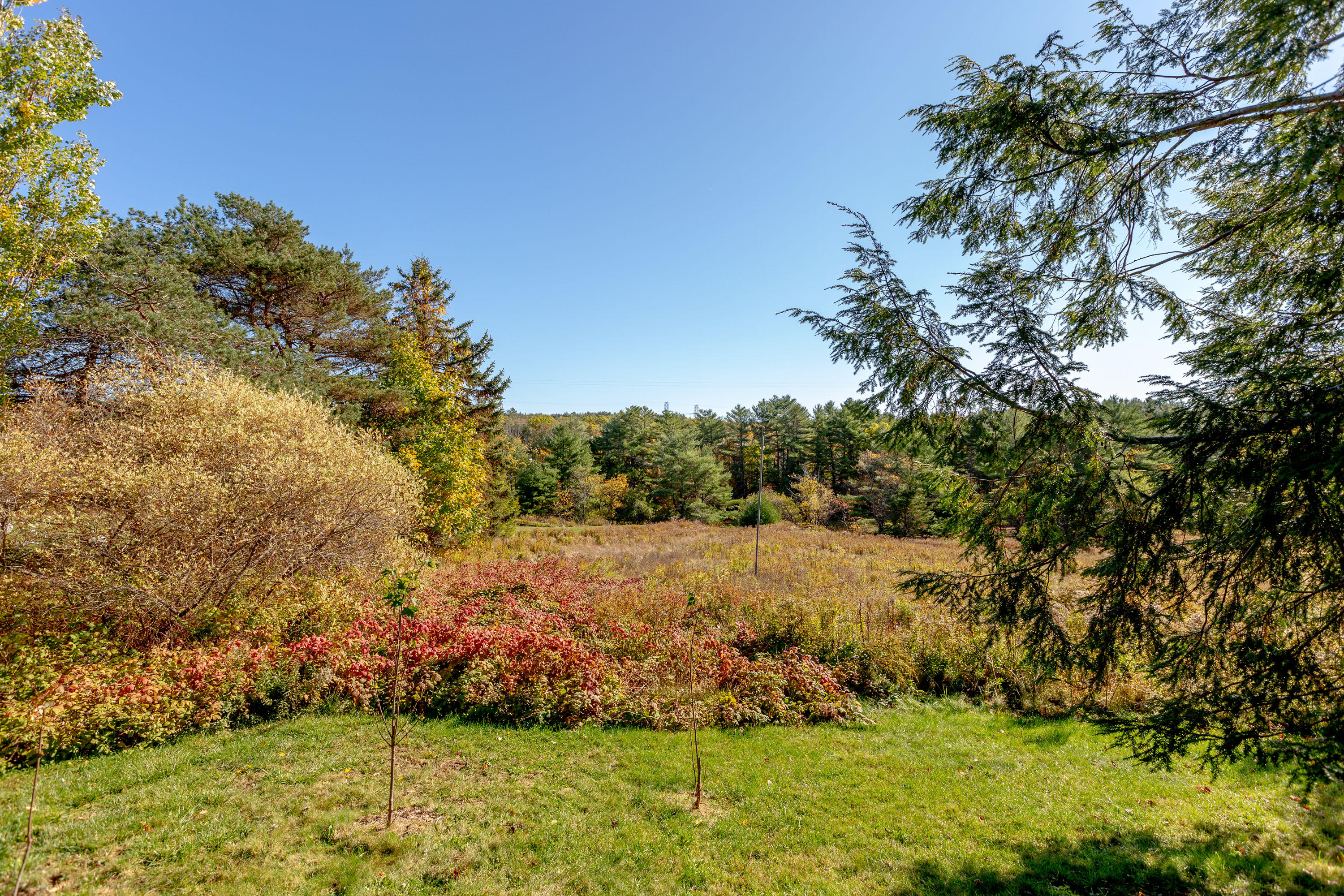 584 Birch Point Road Wiscasset, ME 04578 - Photo 40 of 46 Birch PT_DeCosta_50