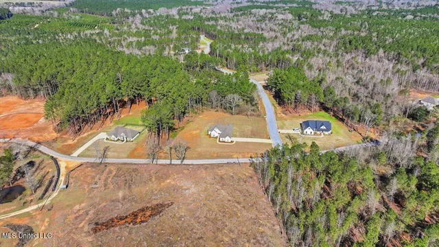 $368,000 | 119 Ashwood Lane, Mendenhall, MS 39114